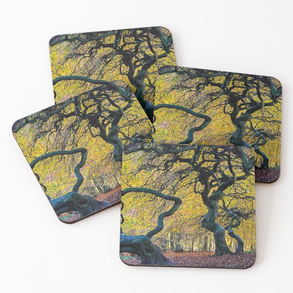 Item preview, Twisty, spooky trees in the Hexenwald near Lietzow, Rügen Island, Germany designed and sold by Michael Brewer.
