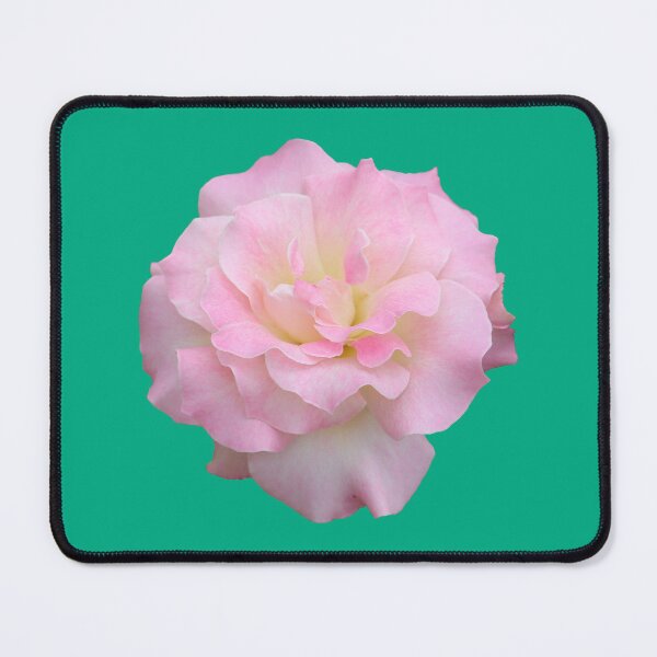 Item preview, Pale Pink Rose on Green designed and sold by STHogan2.