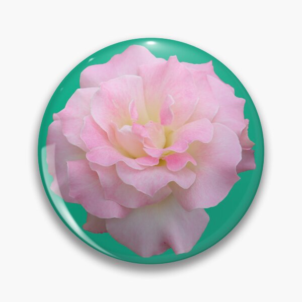 Item preview, Pale Pink Rose on Green designed and sold by STHogan2.