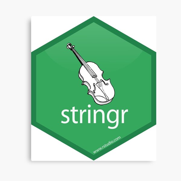 stringr hex logo Canvas Print