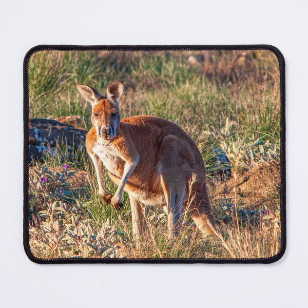 Item preview, Red Roo designed and sold by Ray's Photos & Art.