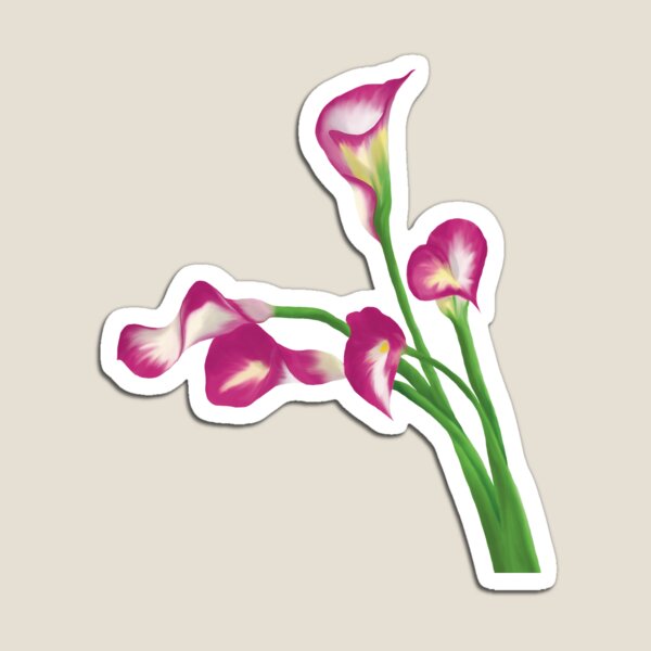 Artikelvorschau, Calla-Serie entworfen und verkauft von BranketRabbit.
