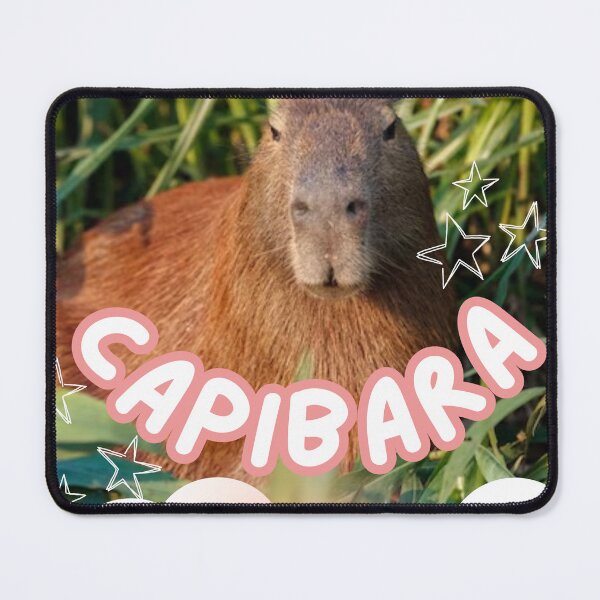 Item preview, cute capybara designed and sold by Alex González Caballero.
