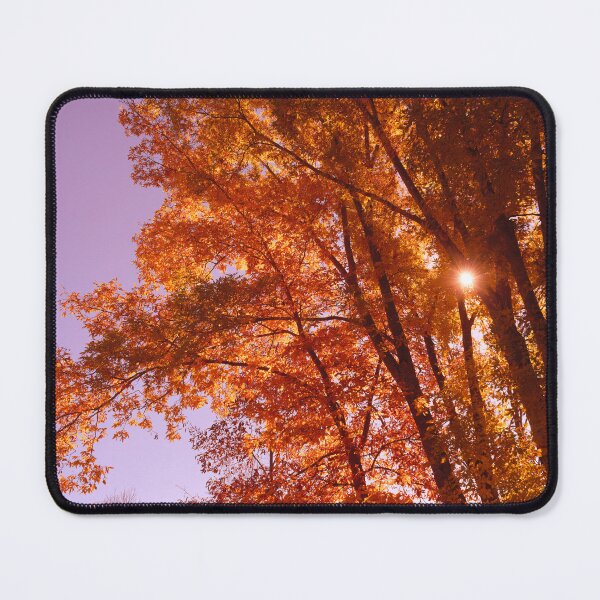 Item preview, Sol And Autumn designed and sold by Jim Love.