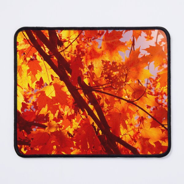 Item preview, Gold Among The Branches designed and sold by Jim Love.
