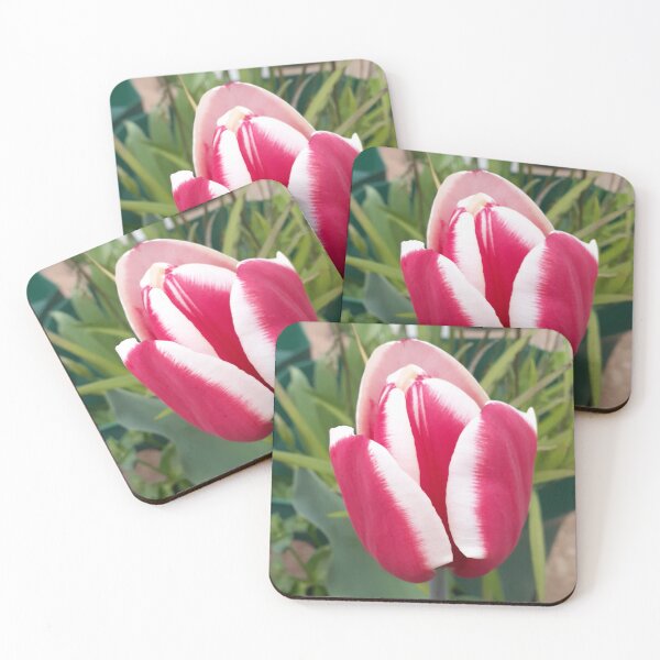 Item preview, Red Tulip Flower With White Edges designed and sold by Sarah  Rajkotwala.