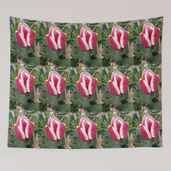 Item preview, Red Tulip Flower With White Edges designed and sold by Sarah  Rajkotwala.