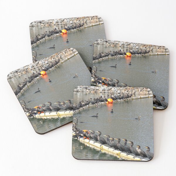 Item preview, Cormorant Conclave designed and sold by gistinker.