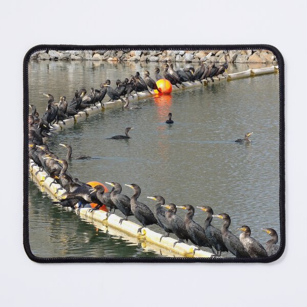 Item preview, Cormorant Conclave designed and sold by gistinker.