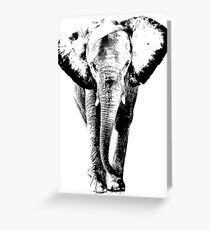 Elephant Greeting Card