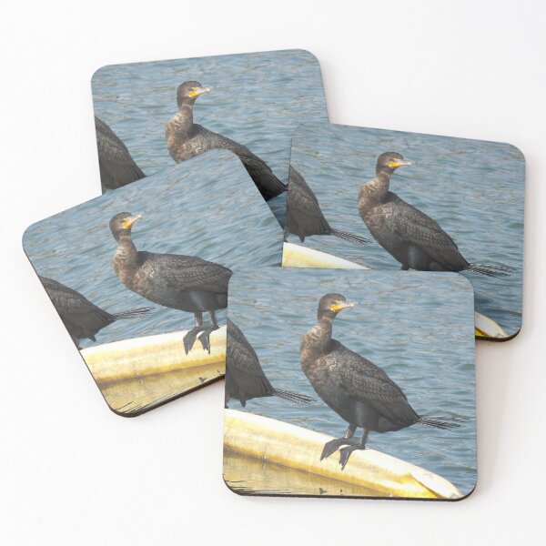 Item preview, Cormorant on a Float designed and sold by gistinker.