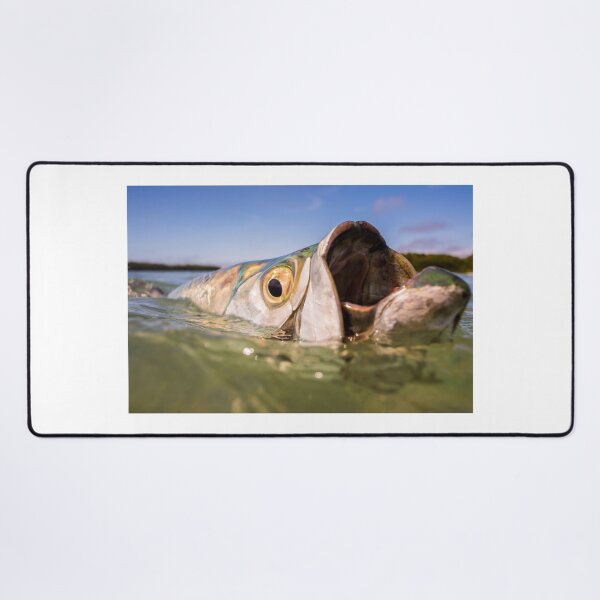 Item preview, Big Mouth designed and sold by Kevin  Dodge.