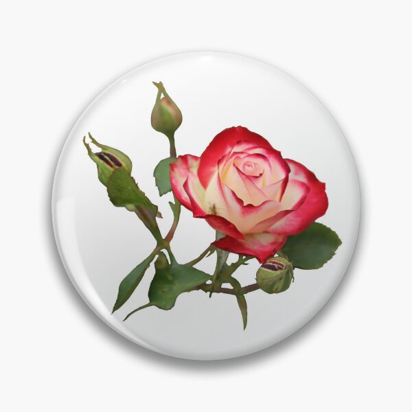 Item preview, Red and Creme Rose with Buds designed and sold by STHogan2.