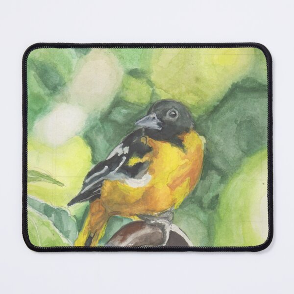 Artikelvorschau, Baltimore Oriole auf einem Fahrradträger entworfen und verkauft von Fawnadeer.