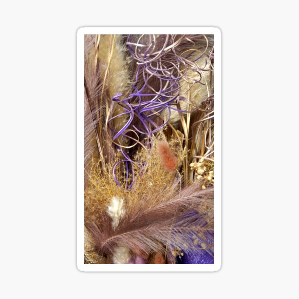 Item preview, Decorations by Adelaide artist Avril Thomas at Magpie Springs designed and sold by MagpieSprings.