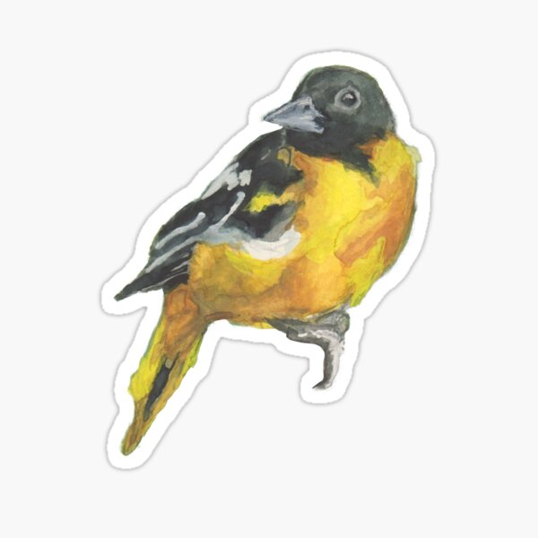 Item preview, Watercolor Baltimore Oriole designed and sold by Fawnadeer.