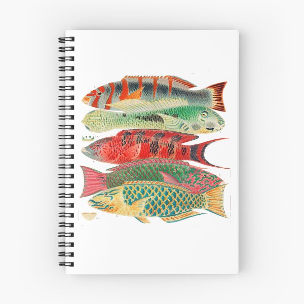 Item preview, Great Barrier Reef Fishes By William Saville Kent  designed and sold by Tamas Das.