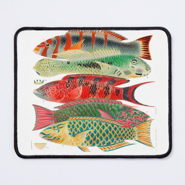 Item preview, Great Barrier Reef Fishes By William Saville Kent  designed and sold by Tamas Das.