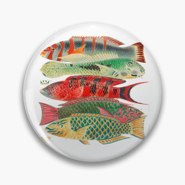 Item preview, Great Barrier Reef Fishes By William Saville Kent  designed and sold by Tamas Das.