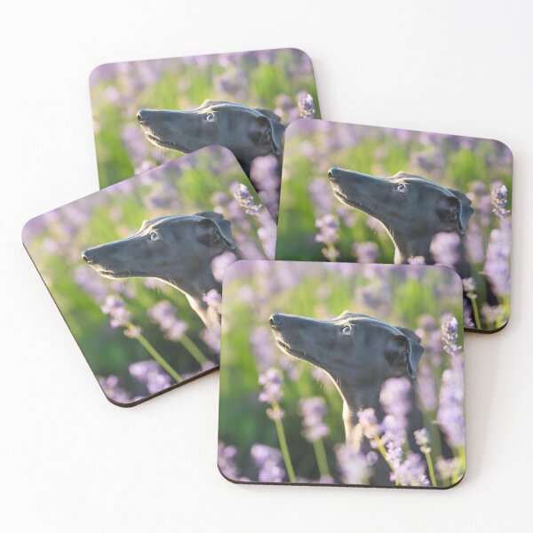 Item preview, Foto de Whippet designed and sold by Iluvmygreyhound.