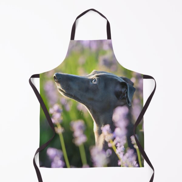 Artikelvorschau, Whippet-Foto entworfen und verkauft von Iluvmygreyhound.