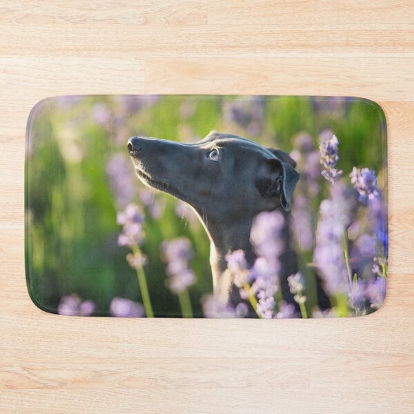 Artikelvorschau, Whippet-Foto entworfen und verkauft von Iluvmygreyhound.