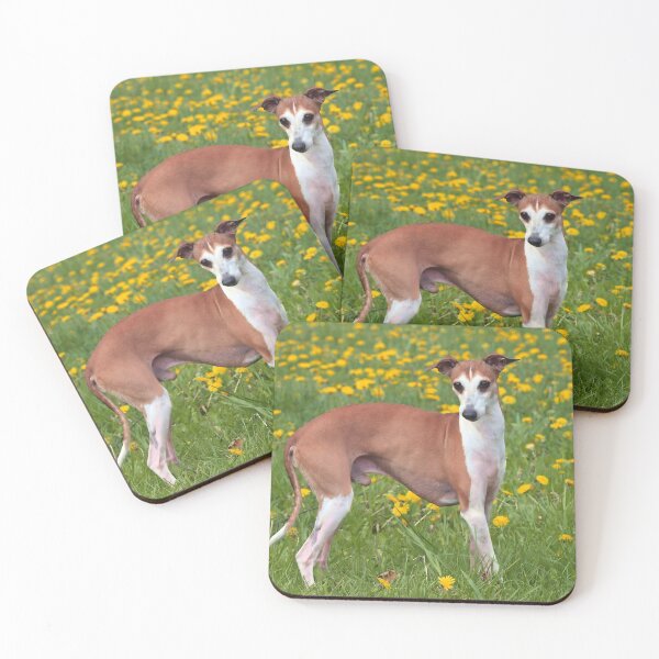 Item preview, Foto de Whippet designed and sold by Iluvmygreyhound.