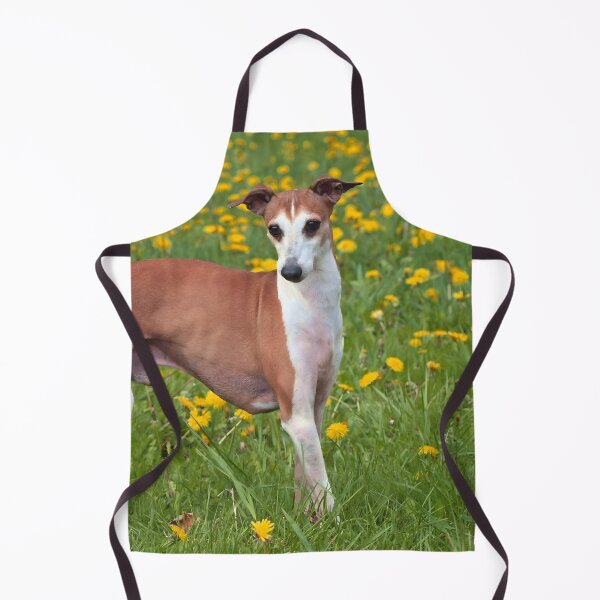 Artikelvorschau, Whippet-Foto entworfen und verkauft von Iluvmygreyhound.