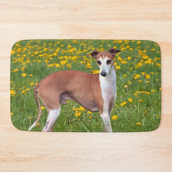 Artikelvorschau, Whippet-Foto entworfen und verkauft von Iluvmygreyhound.