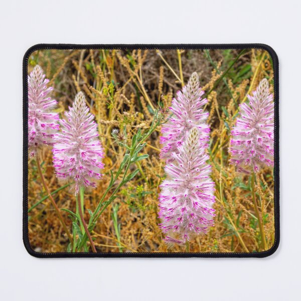 Item preview, Mulla Mulla Wild Flowers designed and sold by Ray's Photos & Art.