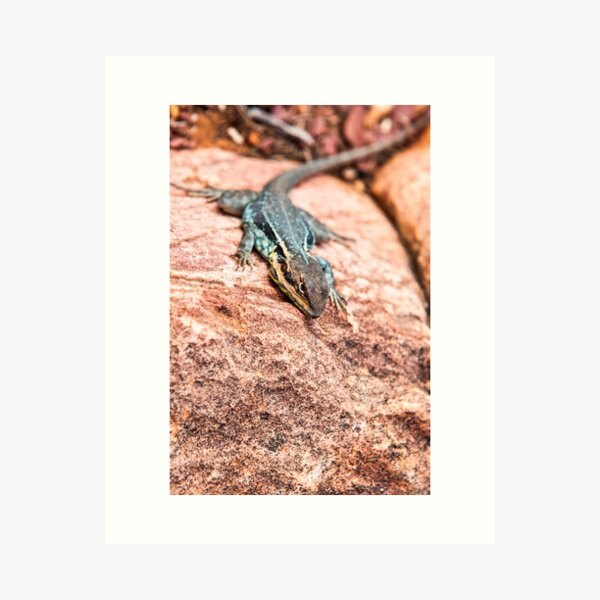 Item preview, Tawny Dragon designed and sold by Ray's Photos & Art.
