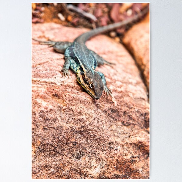 Item preview, Tawny Dragon designed and sold by Ray's Photos & Art.