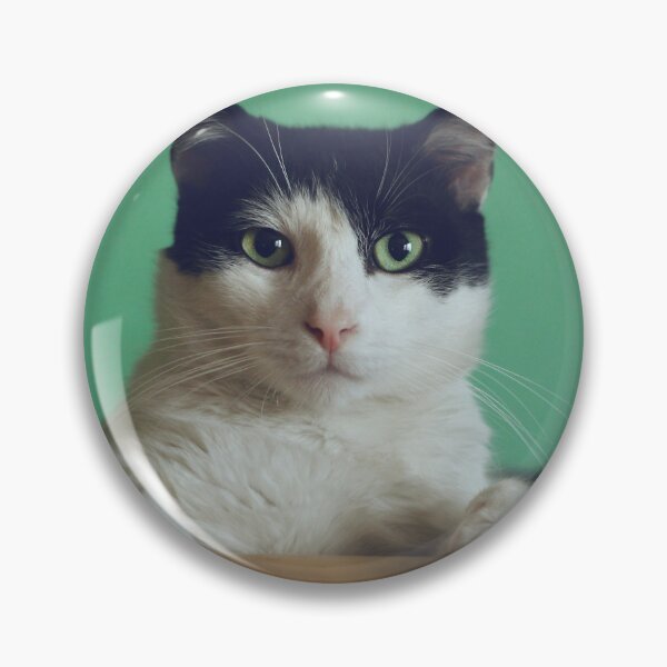 Item preview, Curiosity kills the Cat designed and sold by L'etoile De La  Mode.