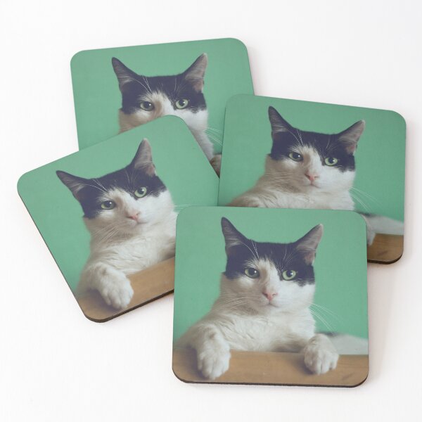 Item preview, Curiosity kills the Cat designed and sold by L'etoile De La  Mode.