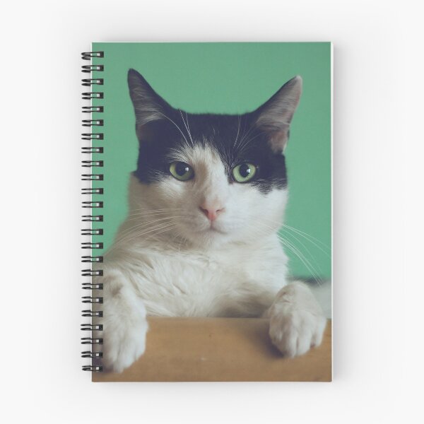 Item preview, Curiosity kills the Cat designed and sold by L'etoile De La  Mode.