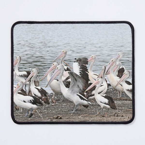 Item preview, Pelicans designed and sold by Doug Cliff.