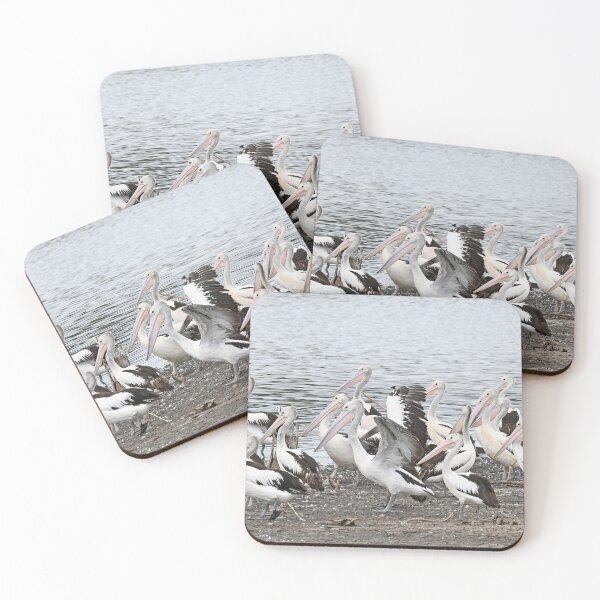 Item preview, Pelicans designed and sold by Doug Cliff.