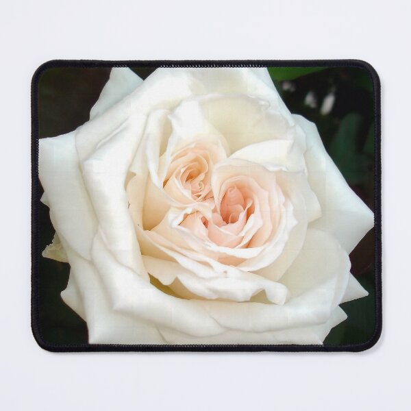 Item preview, A Double Hearted Romantic White Rose designed and sold by taiche.