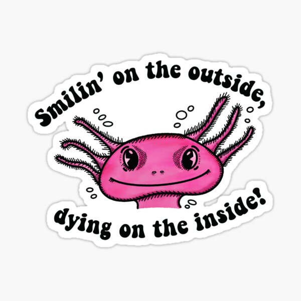 Smilin’ on the outside Sticker