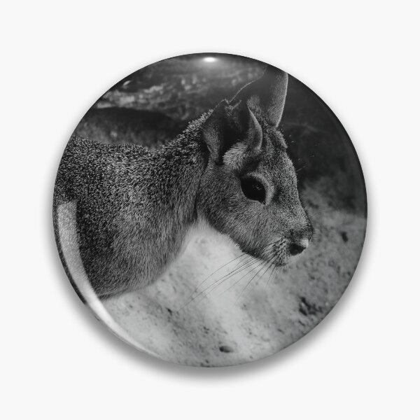 Item preview, Patagonian Cavy Jerez Zoo Black and White designed and sold by eddiebarronshop.