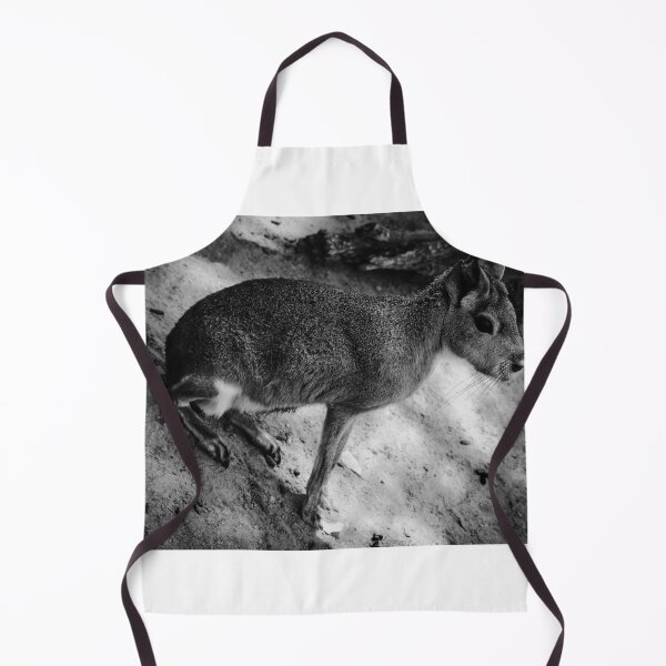 Item preview, Patagonian Cavy Jerez Zoo Black and White designed and sold by eddiebarronshop.
