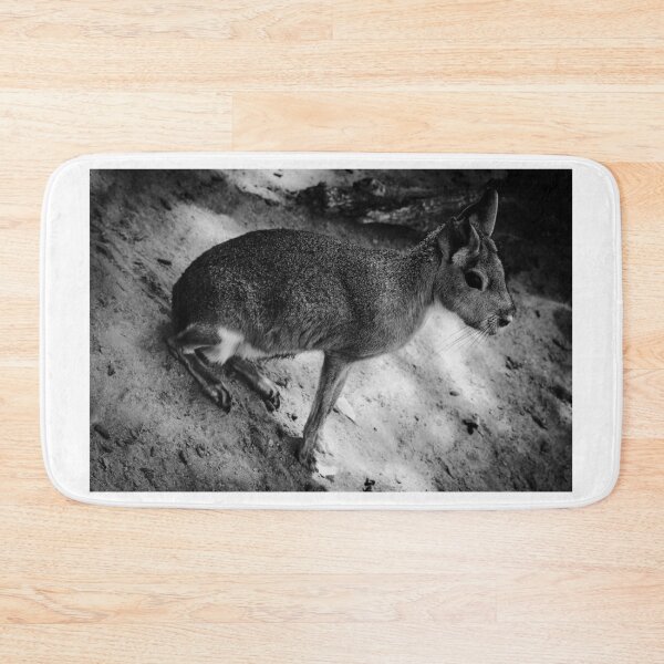 Item preview, Patagonian Cavy Jerez Zoo Black and White designed and sold by eddiebarronshop.