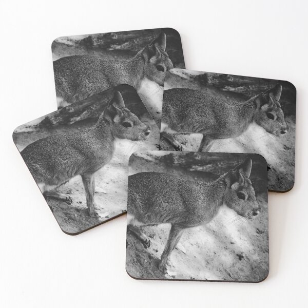 Item preview, Patagonian Cavy Jerez Zoo Black and White designed and sold by eddiebarronshop.