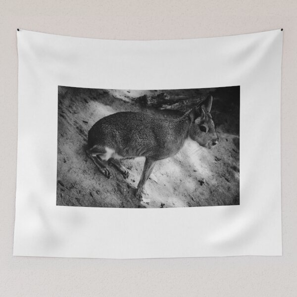 Item preview, Patagonian Cavy Jerez Zoo Black and White designed and sold by eddiebarronshop.