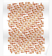 Parquet Zygons Poster