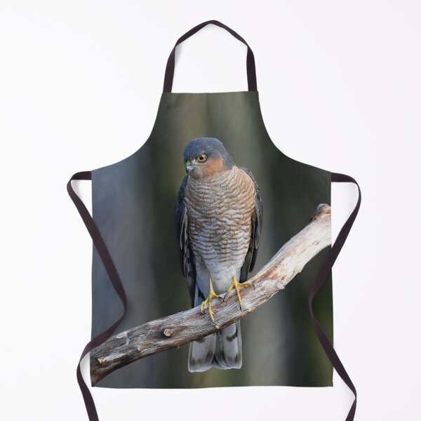 Item preview, Sparrowhawk designed and sold by Paul Crabtree.