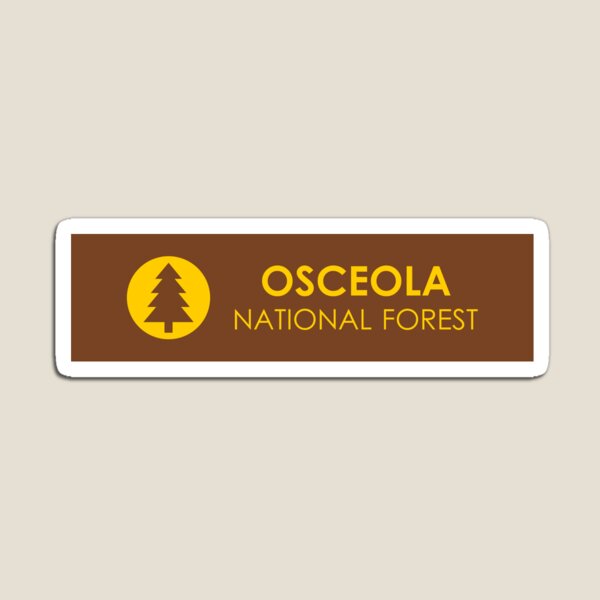Vista previa del artículo con la obra «Bosque Nacional Osceola», diseñado y vendido por bivenart.