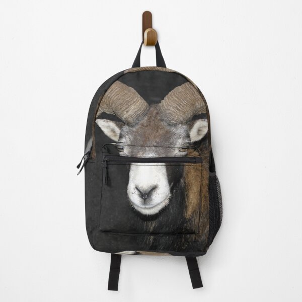 Item preview, Frontal view of the head of a male mouflon designed and sold by EpicVistas.