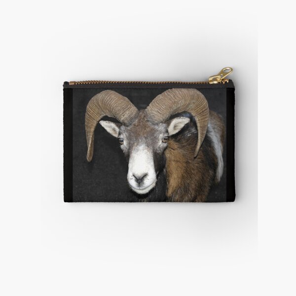 Item preview, Frontal view of the head of a male mouflon designed and sold by EpicVistas.
