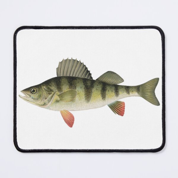 Item preview, Perch designed and sold by Angry Swan Designs.